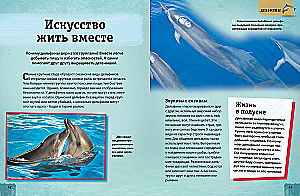 Encyclopedia of Animals. Adults and Offspring