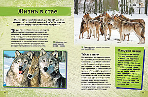Encyclopedia of Animals. Adults and Offspring