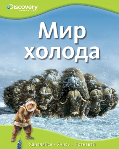 World of Cold