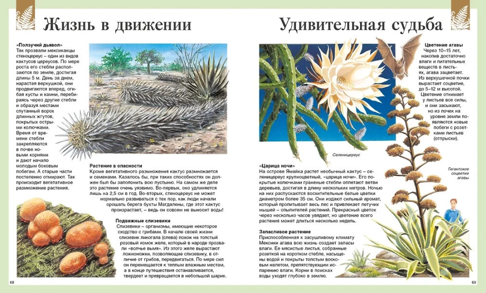 Children's Encyclopedia. 250 Wonders of the World