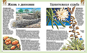 Children's Encyclopedia. 250 Wonders of the World
