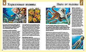 Children's Encyclopedia. 250 Wonders of the World