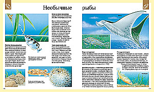 Children's Encyclopedia. 250 Wonders of the World