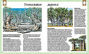 Dziecięca encyklopedia. 250 cudów świata