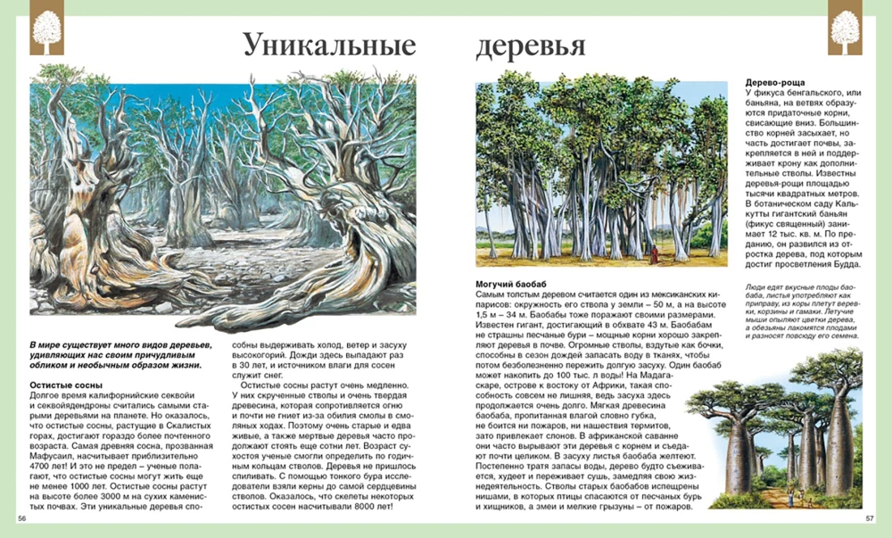 Children's Encyclopedia. 250 Wonders of the World