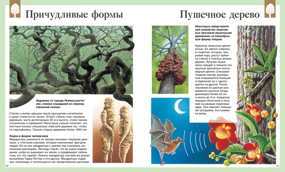 Children's Encyclopedia. 250 Wonders of the World