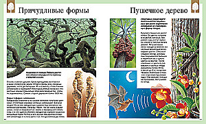 Children's Encyclopedia. 250 Wonders of the World