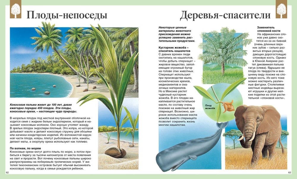 Children's Encyclopedia. 250 Wonders of the World