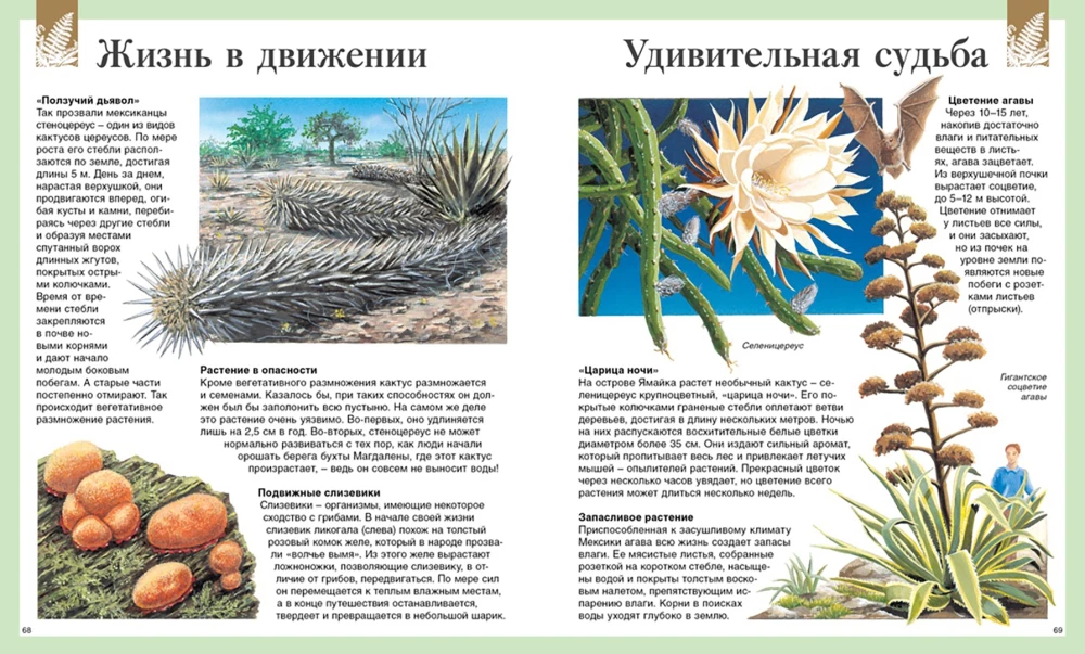 Dziecięca encyklopedia. 250 cudów świata