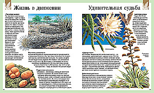 Dziecięca encyklopedia. 250 cudów świata