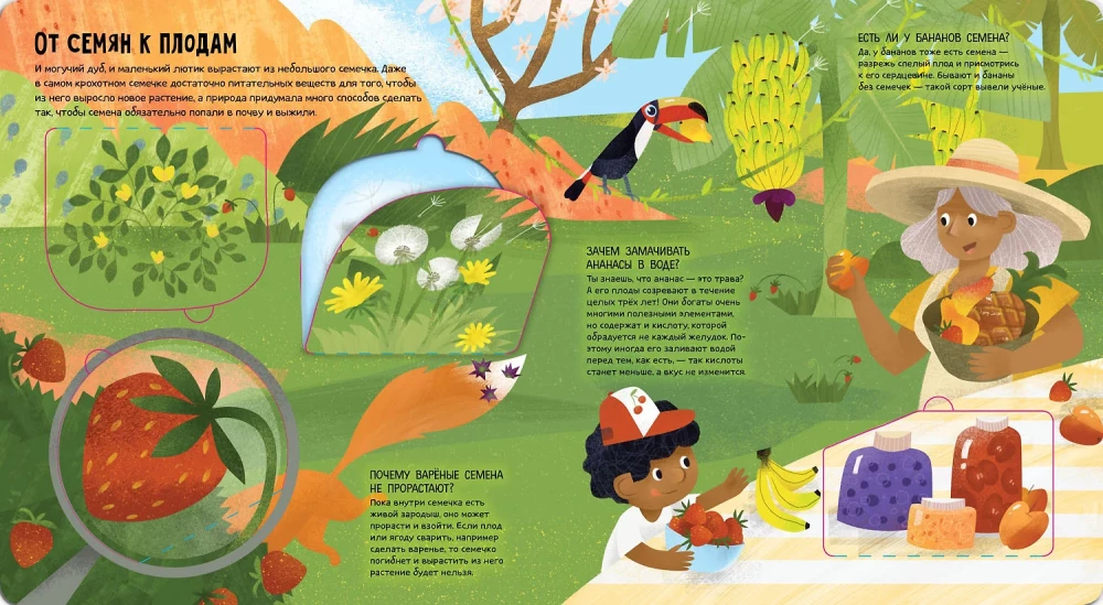 How Nature Works