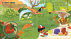 How Nature Works