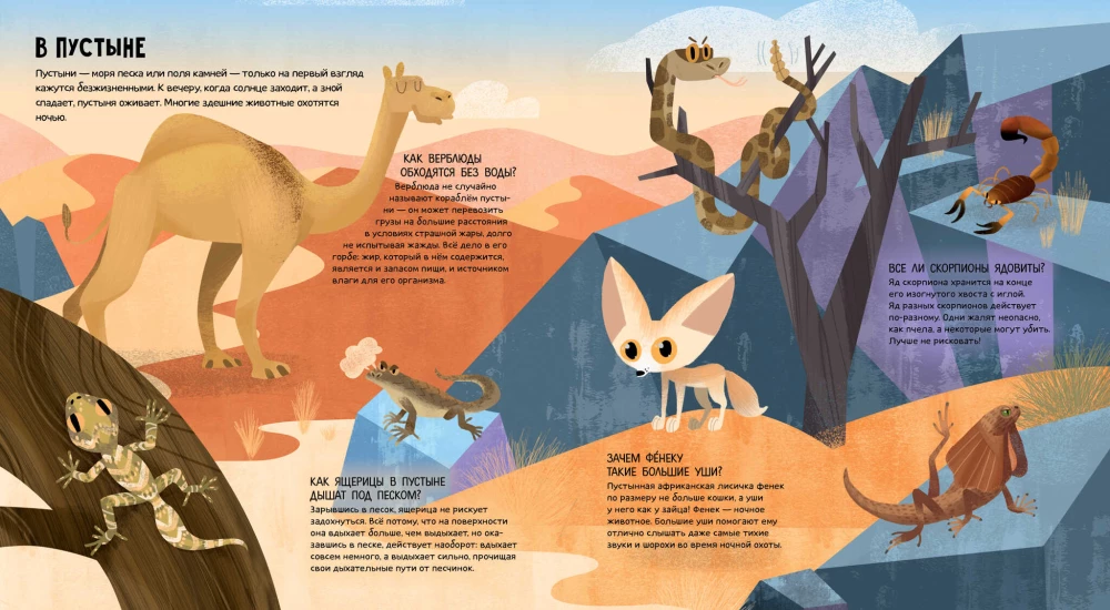 Animals of the World