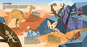 Animals of the World