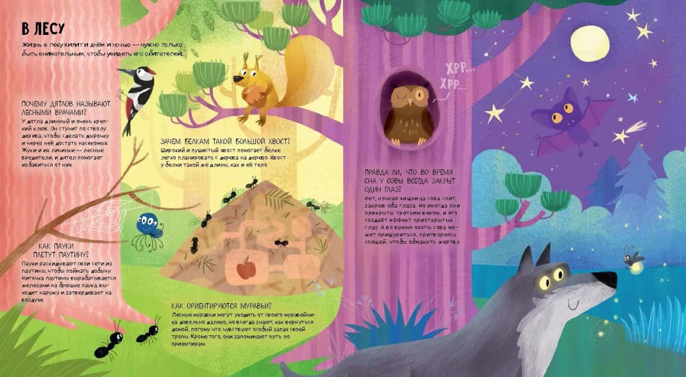 Animals of the World