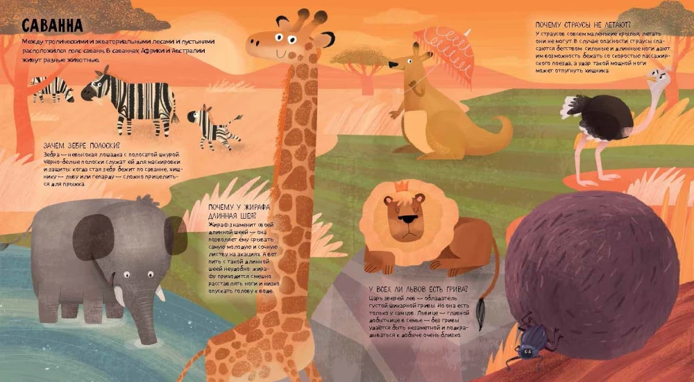 Animals of the World