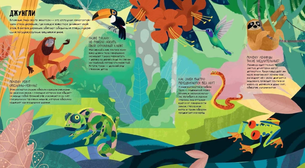 Animals of the World
