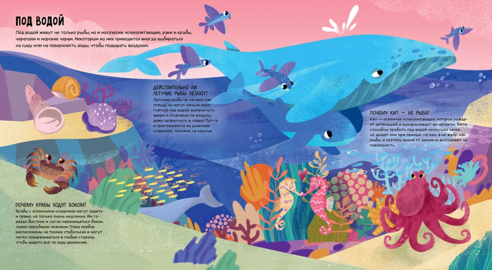 Animals of the World