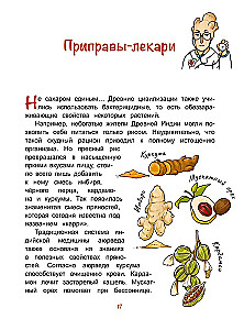 Once Upon a Time the Spices