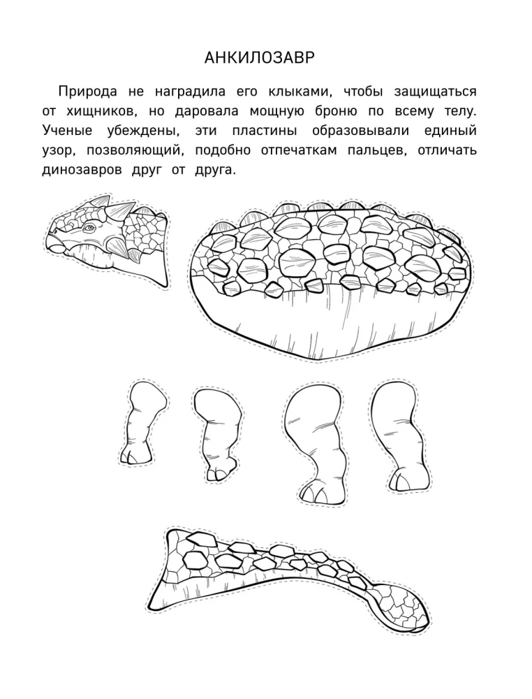 Papierowe dinozaury. Wytnij, pokoloruj, graj. 12 gotowych schematów