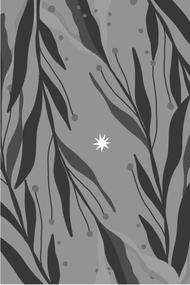 Women's Elements and Archetypes. 55 Metaphorical Cards