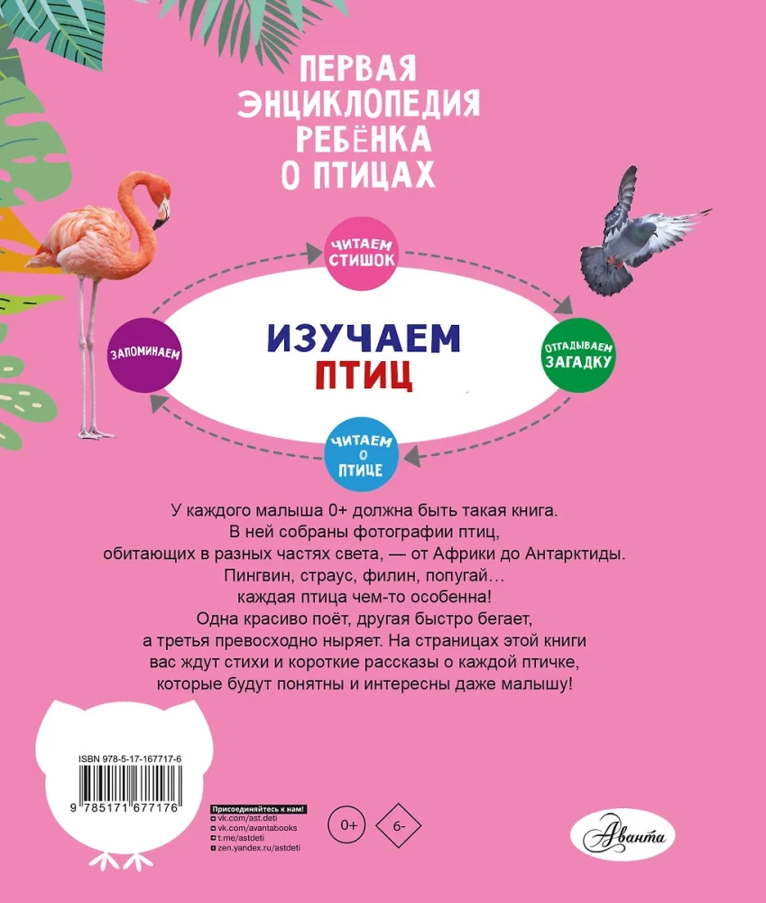 Птицы