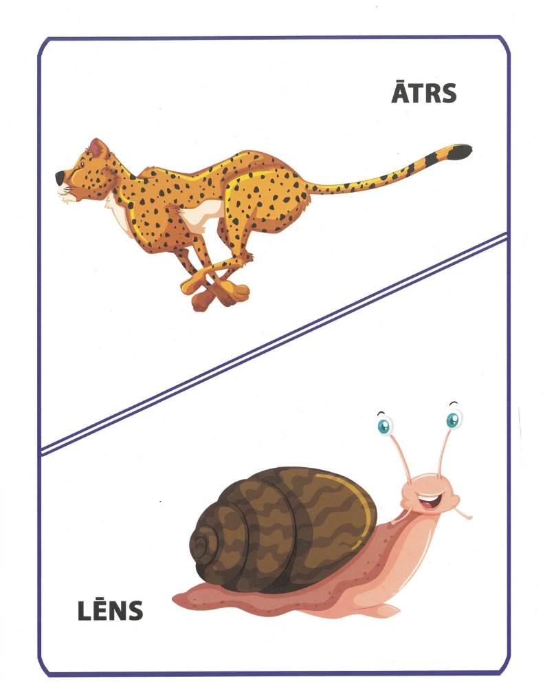 Prietstati. 16 study cards