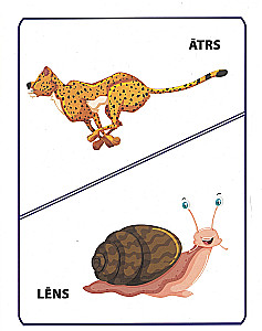 Prietstati. 16 study cards