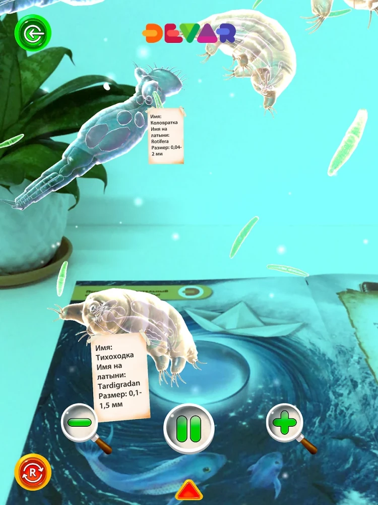 4D Book. A Great Encyclopedia in Augmented Reality