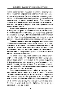 Rozkwit i upadek starożytnych cywilizacji. Odległa przeszłość ludzkości