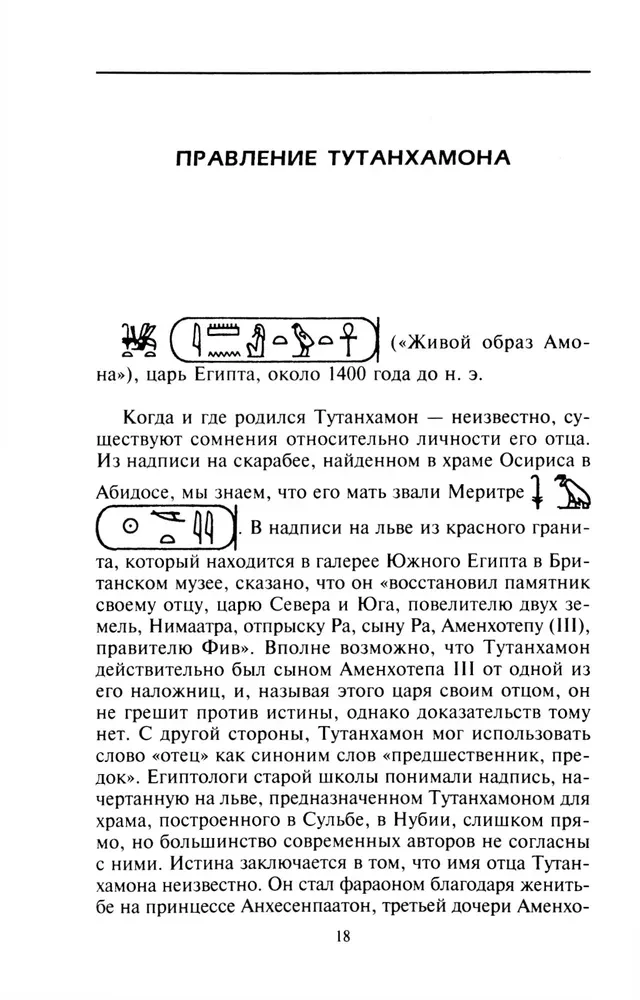 Egypt in the Time of Tutankhamun. The History of the Reign of the Legendary Pharaoh