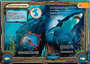 Encyclopedia in Augmented Reality - In the Depths of the Ocean. 235 Interesting Facts