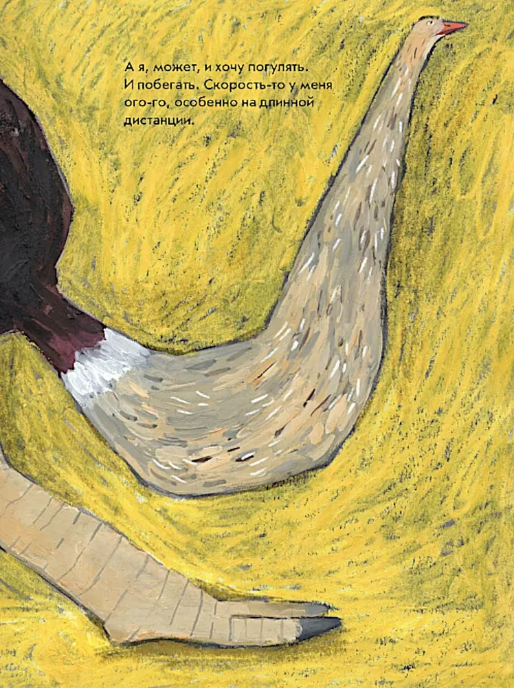 Ostrich, No Panic!
