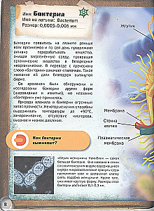 The World Under the Microscope. 4D Book