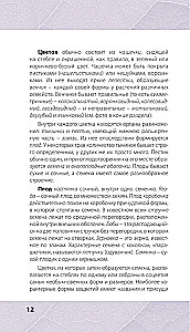 Medicinal Herbs. Illustrated Guide-Determiner