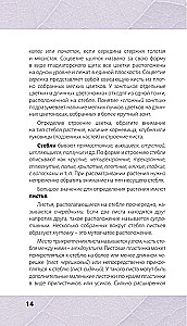 Medicinal Herbs. Illustrated Guide-Determiner