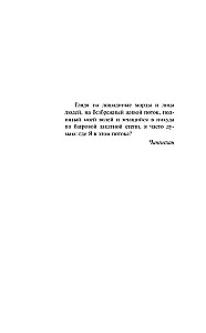 Чапаев и Пустота