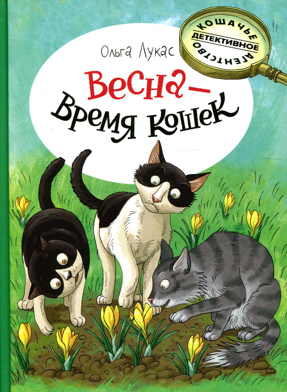 Wiosna - czas kotów