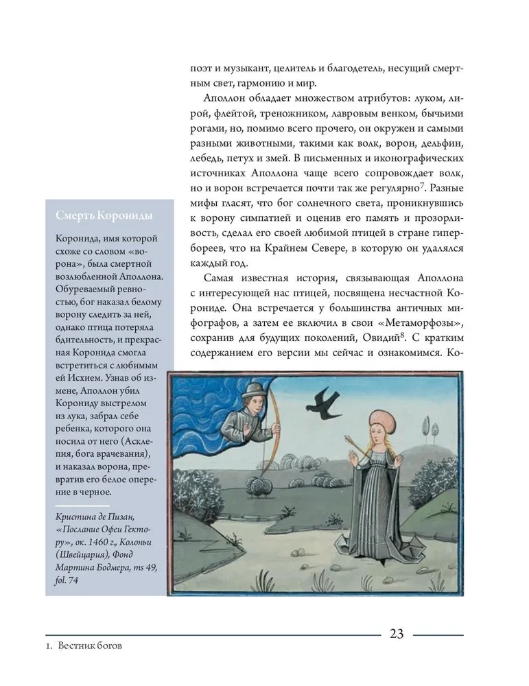 Kruk. Historia kulturowa