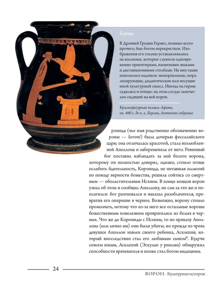 Kruk. Historia kulturowa