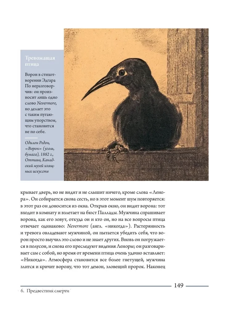 Kruk. Historia kulturowa