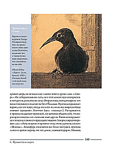 Kruk. Historia kulturowa