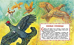 Forest Stories. Tales and Stories for Children