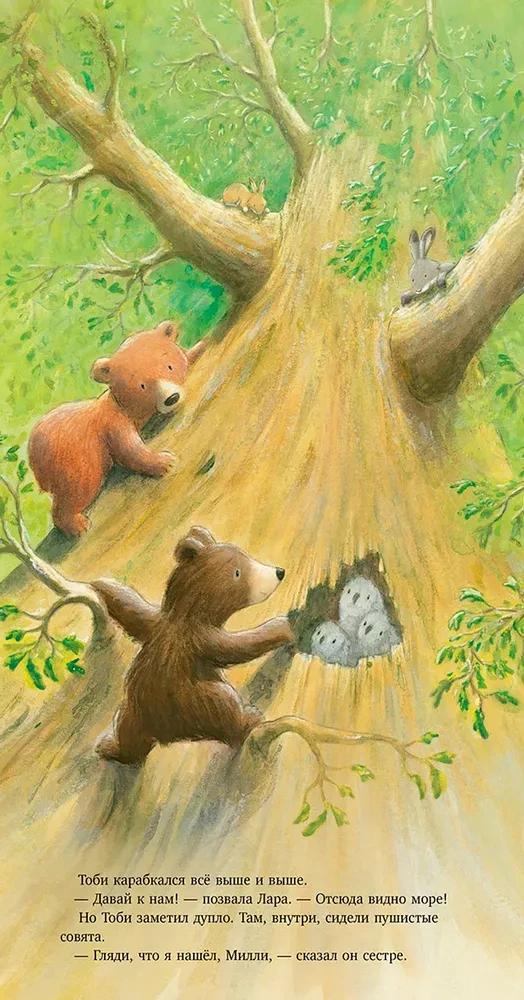 The Secret of the Brave Bear Cub