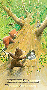 The Secret of the Brave Bear Cub