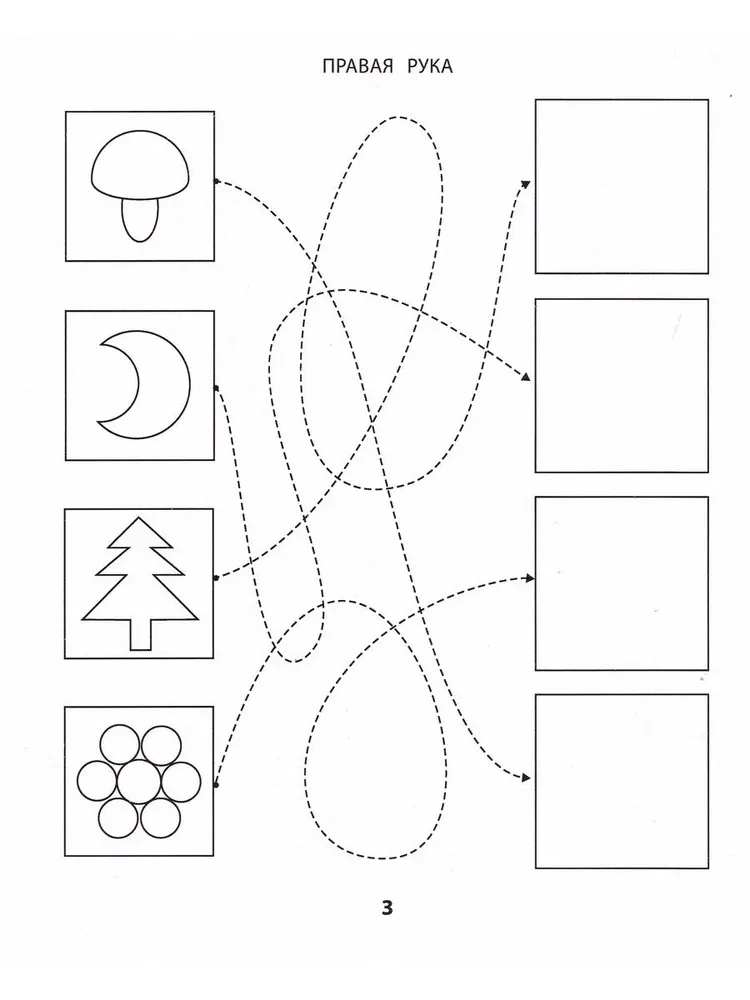 Rechts, links, zusammen! Interhemisphärische Interaktion: die schwierigsten Aufgaben