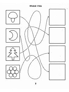 Rechts, links, zusammen! Interhemisphärische Interaktion: die schwierigsten Aufgaben
