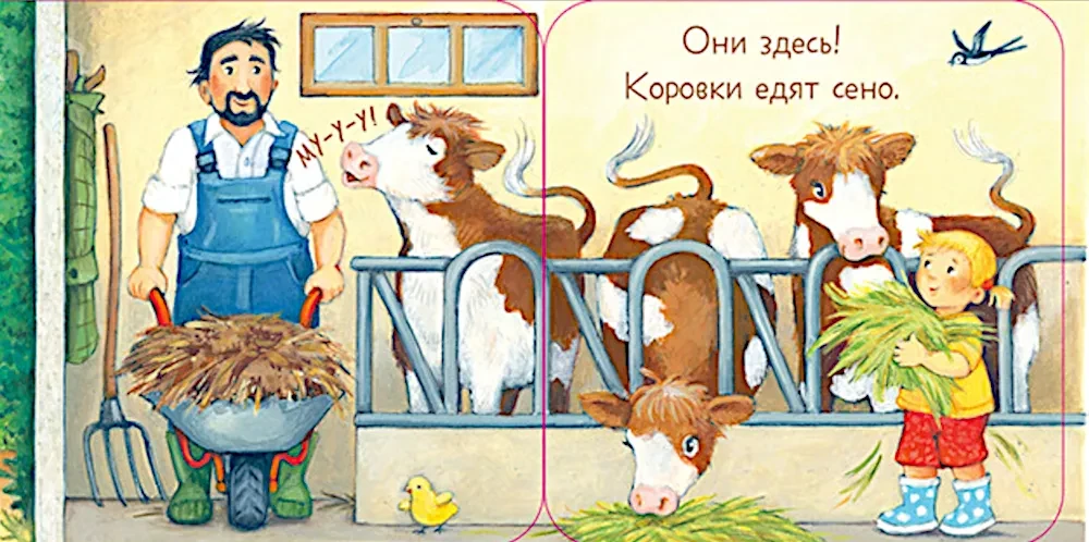Ku-ku! Kto jest na farmie? Książka - składanka