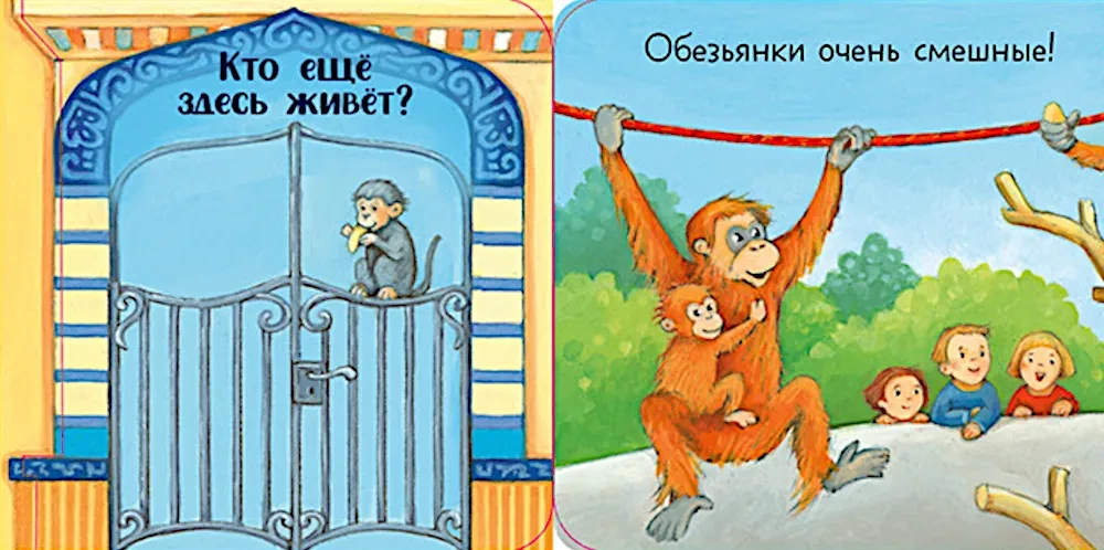 Ку-ку! Кто в зоопарке? Книжка-раскладушка