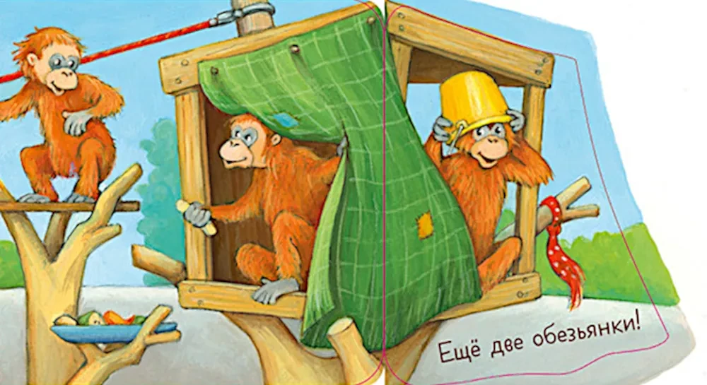 Kukuku! Kto w zoo? Książka-zagadka